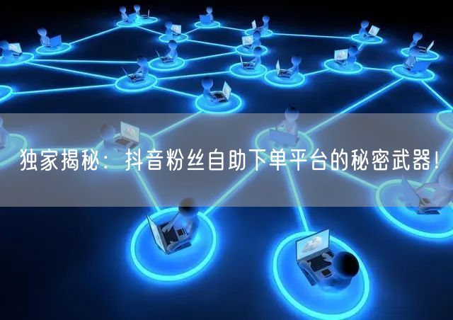 独家揭秘：抖音粉丝自助下单平台的秘密武器！