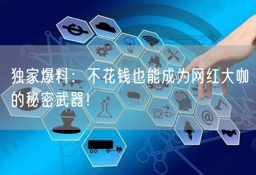 独家爆料：不花钱也能成为网红大咖的秘密武器！