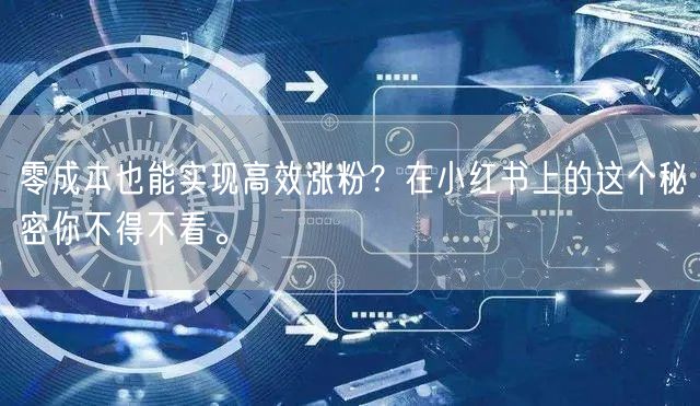 零成本也能实现高效涨粉？在小红书上的这个秘密你不得不看。