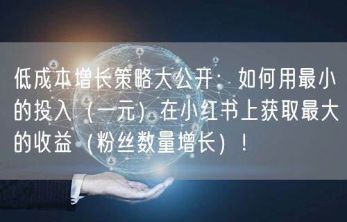 低成本增长策略大公开：如何用最小的投入（一元）在小红书上获取最大的收益（粉丝数量增长）！