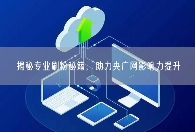 揭秘专业刷粉秘籍，助力央广网影响力提升