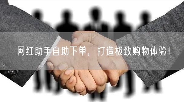 网红助手自助下单，打造极致购物体验！