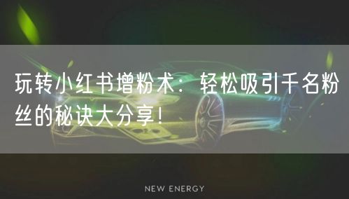 玩转小红书增粉术：轻松吸引千名粉丝的秘诀大分享！