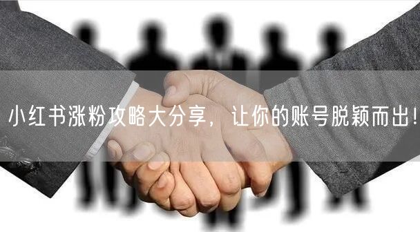 小红书涨粉攻略大分享，让你的账号脱颖而出！