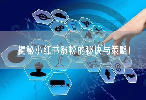 揭秘小红书涨粉的秘诀与策略！