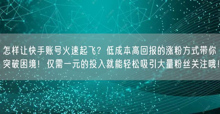 怎样让快手账号火速起飞？低成本高回报的涨粉方式带你突破困境！仅需一元的投入就能轻松吸引大量粉丝关注哦！