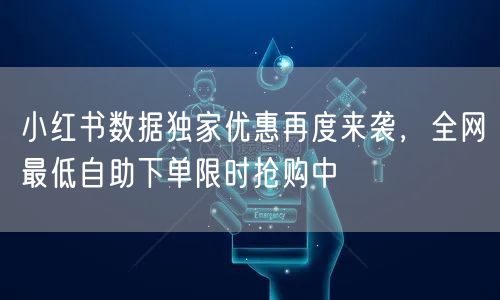小红书数据独家优惠再度来袭，全网最低自助下单限时抢购中