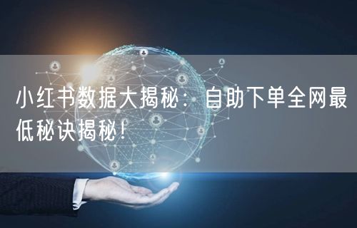 小红书数据大揭秘：自助下单全网最低秘诀揭秘！
