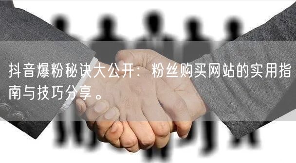 抖音爆粉秘诀大公开：粉丝购买网站的实用指南与技巧分享。
