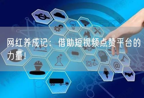 网红养成记：借助短视频点赞平台的力量！