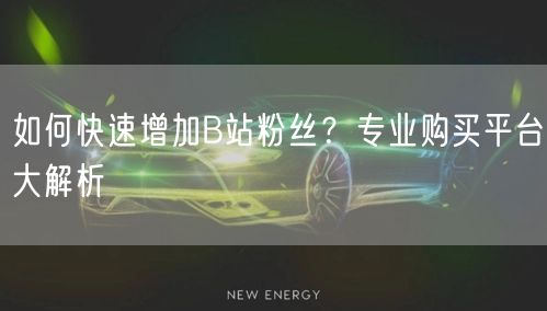 如何快速增加B站粉丝？专业购买平台大解析