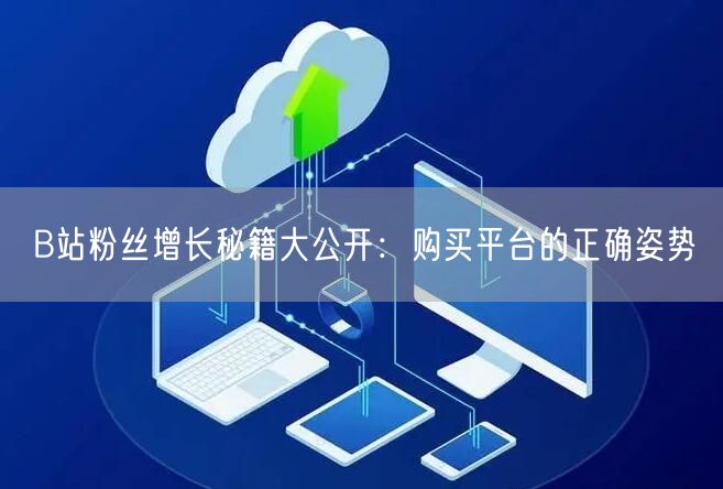 B站粉丝增长秘籍大公开：购买平台的正确姿势