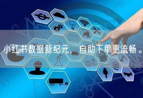小红书数据新纪元，自助下单更流畅。