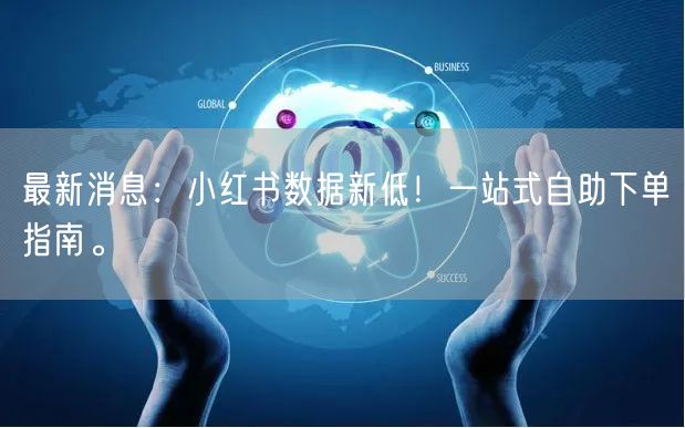 最新消息：小红书数据新低！一站式自助下单指南。