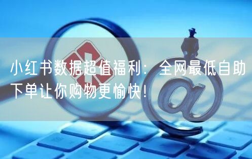小红书数据超值福利：全网最低自助下单让你购物更愉快！