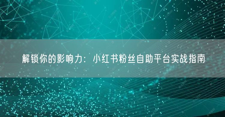 解锁你的影响力：小红书粉丝自助平台实战指南