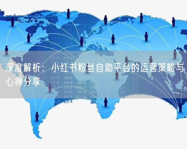 深度解析：小红书粉丝自助平台的运营策略与心得分享
