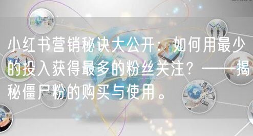 小红书营销秘诀大公开：如何用最少的投入获得最多的粉丝关注？——揭秘僵尸粉的购买与使用。