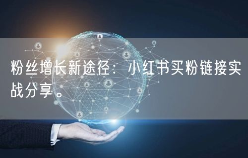 粉丝增长新途径：小红书买粉链接实战分享。