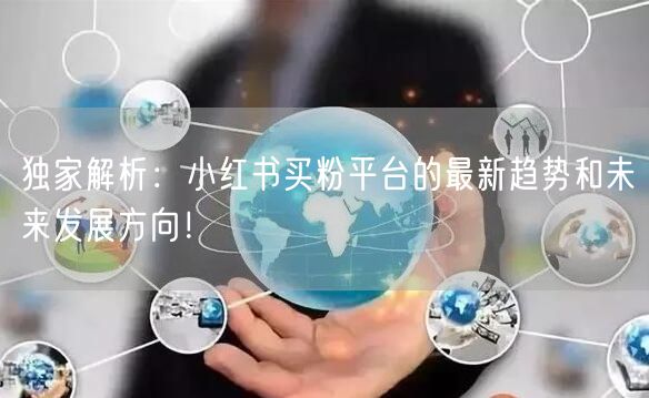 独家解析：小红书买粉平台的最新趋势和未来发展方向！