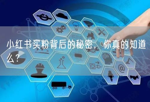 小红书买粉背后的秘密，你真的知道么？