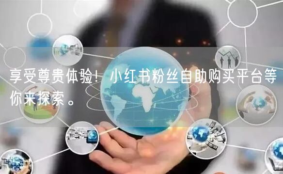 享受尊贵体验！小红书粉丝自助购买平台等你来探索。
