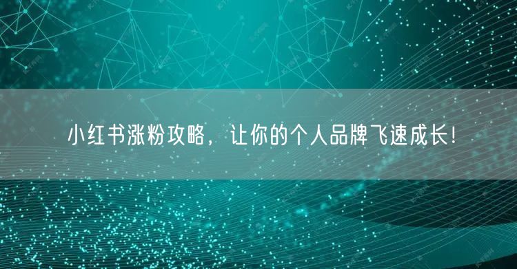 小红书涨粉攻略，让你的个人品牌飞速成长！