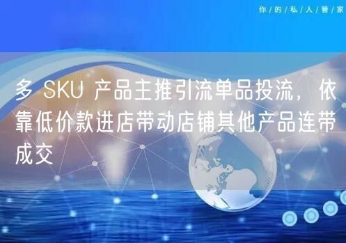 多 SKU 产品主推引流单品投流，依靠低价款进店带动店铺其他产品连带成交