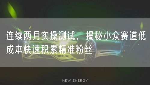 连续两月实操测试，揭秘小众赛道低成本快速积累精准粉丝