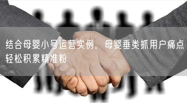 结合母婴小号运营实例，母婴垂类抓用户痛点轻松积累精准粉