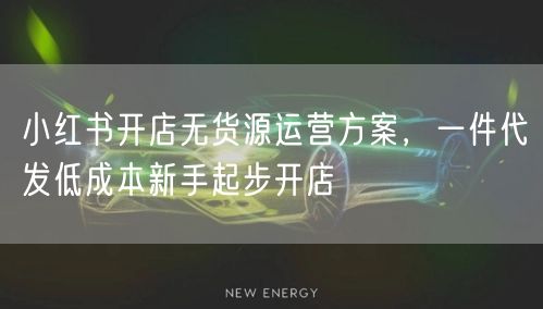 小红书开店无货源运营方案，一件代发低成本新手起步开店