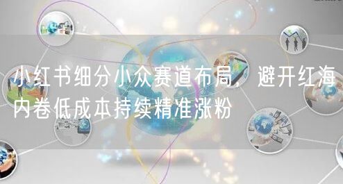 小红书细分小众赛道布局，避开红海内卷低成本持续精准涨粉