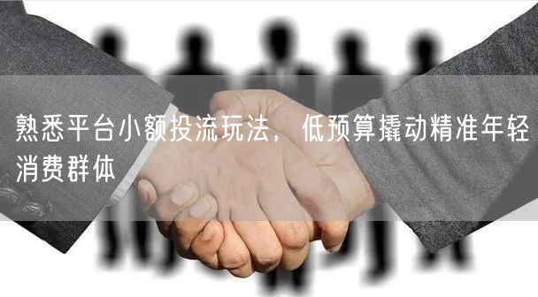 熟悉平台小额投流玩法，低预算撬动精准年轻消费群体
