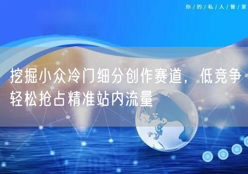 挖掘小众冷门细分创作赛道，低竞争轻松抢占精准站内流量