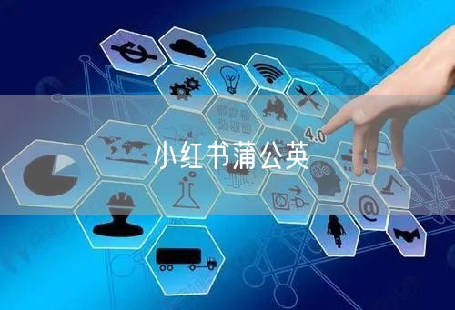 小红书蒲公英