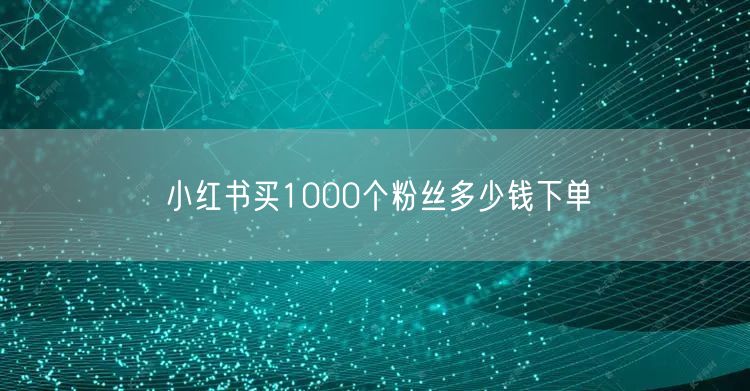 小红书买1000个粉丝多少钱下单