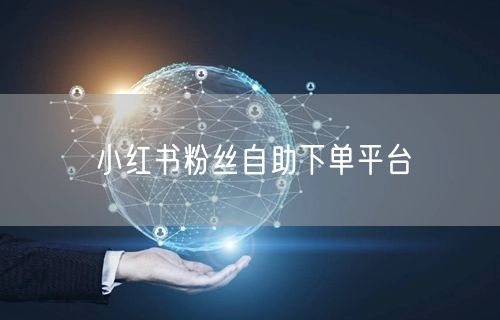 小红书粉丝自助下单平台