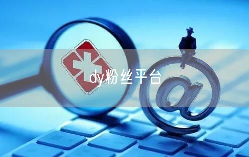 dy粉丝平台