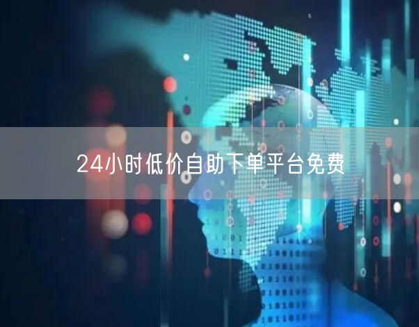 24小时低价自助下单平台免费