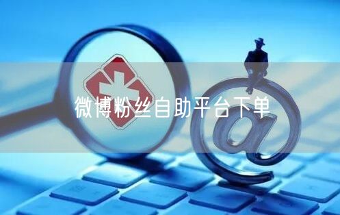 微博粉丝自助平台下单