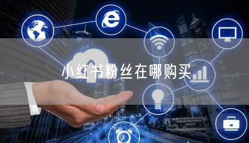 小红书粉丝在哪购买