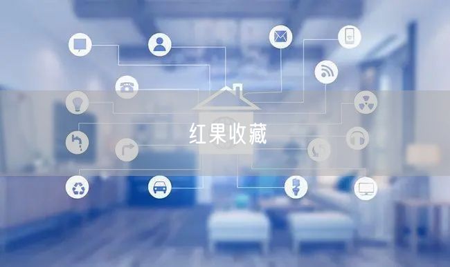 红果收藏